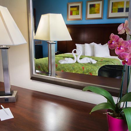 מלון קיסימי Ramada By Wyndham Flamingo Water Park מראה חיצוני תמונה